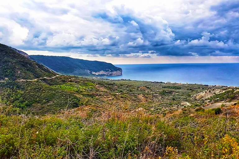 محمية أم الطيور